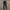 Adidas Casual Sportswear Sweatpants & Joggers Pria white black photo 2