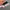 Vans old skool pro skate os sk8 photo 5