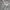 Puma Y2K Track jacket Wanita gray photo 3
