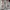 Converse All Star X CDG Japan Domestic Market photo 6