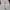 Converse All Star X CDG Japan Domestic Market photo 7