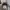 Converse All Star X CDG Japan Domestic Market photo 8