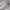 Converse All Star X CDG Japan Domestic Market photo 4