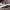 Converse Pro Leather Low Duo Color photo 3
