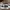 Converse Pro Leather Low Duo Color photo 1