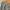 Japanese Basic workpants cargo bahan tebal photo 3