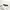 Burberry Grunge Indie Formal shirt Pria white photo 2
