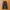 Teentalk parachute cargopants photo 1