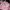 Women shimmery pink string bag photo 2