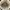 Women shimmery gold string tote bag photo 3