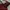 Shoulder bag hush puppies photo 1