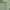 Love bonito sage green s photo 4