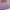 Y2k Music Television With Leopard Box Logo Purple photo 4