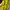 Tory Burch Vintage Casual Tote Bag Wanita Yellow