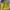 Tory Burch Vintage Casual Tote bag Wanita yellow photo 3