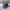 Caps logo c photo 1