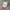 Topi flame build up photo 2