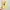 Casual Anak dan Remaja yellow photo 1