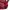 FUBU Y2K Backpack Wanita red photo 5