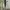 PULL N BEAR SAGE LIGHT GREEN HOODIE photo 2