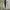 PULL N BEAR SAGE LIGHT GREEN HOODIE