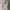 PULL N BEAR SAGE LIGHT GREEN HOODIE photo 5