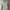 PULL N BEAR SAGE LIGHT GREEN HOODIE photo 1