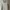 PULL N BEAR SAGE LIGHT GREEN HOODIE