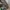 Guess Windbreaker tactical army nylon jacket not adidas photo 7