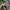 Guess Windbreaker tactical army nylon jacket not adidas photo 8