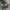 Guess Windbreaker tactical army nylon jacket not adidas photo 6