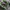 Guess Windbreaker tactical army nylon jacket not adidas photo 5