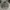 Guess Windbreaker tactical army nylon jacket not adidas photo 1