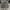 Guess Windbreaker Tactical Army Nylon Jacket Not Adidas