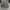 Guess Windbreaker tactical army nylon jacket not adidas photo 2