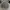 Guess Windbreaker Tactical Army Nylon Jacket Not Adidas