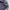 TNF The North face Hunting jacket Waterproof not arcteryx photo 2