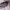 TNF The North face Hunting jacket Waterproof not arcteryx photo 5