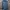 Columbia Casual Trench Coat Pria Navy