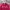 Champion Casual Fur coat Pria burgundy photo 4