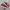 Vans Slip On 47 V DX Anaheim Factory OG Red Original photo 2