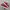 Vans Slip On 47 V DX Anaheim Factory OG Red Original