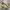 Adidas Originals City Series Munchen Cream White Mesa photo 1