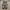 CARGO PANTAS CANVAS ARMY STLYE photo 8