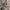CARGO PANTAS CANVAS ARMY STLYE photo 4