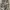 CARGO PANTAS CANVAS ARMY STLYE photo 2