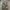 CARGO PANTAS CANVAS ARMY STLYE photo 1