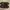 Jovem Loafers Leather Shoes + Box photo 1