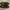 Jovem Loafers Leather Shoes + Box