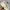 Nike Y2K Sportswear Sneakers Pria cream tan photo 3